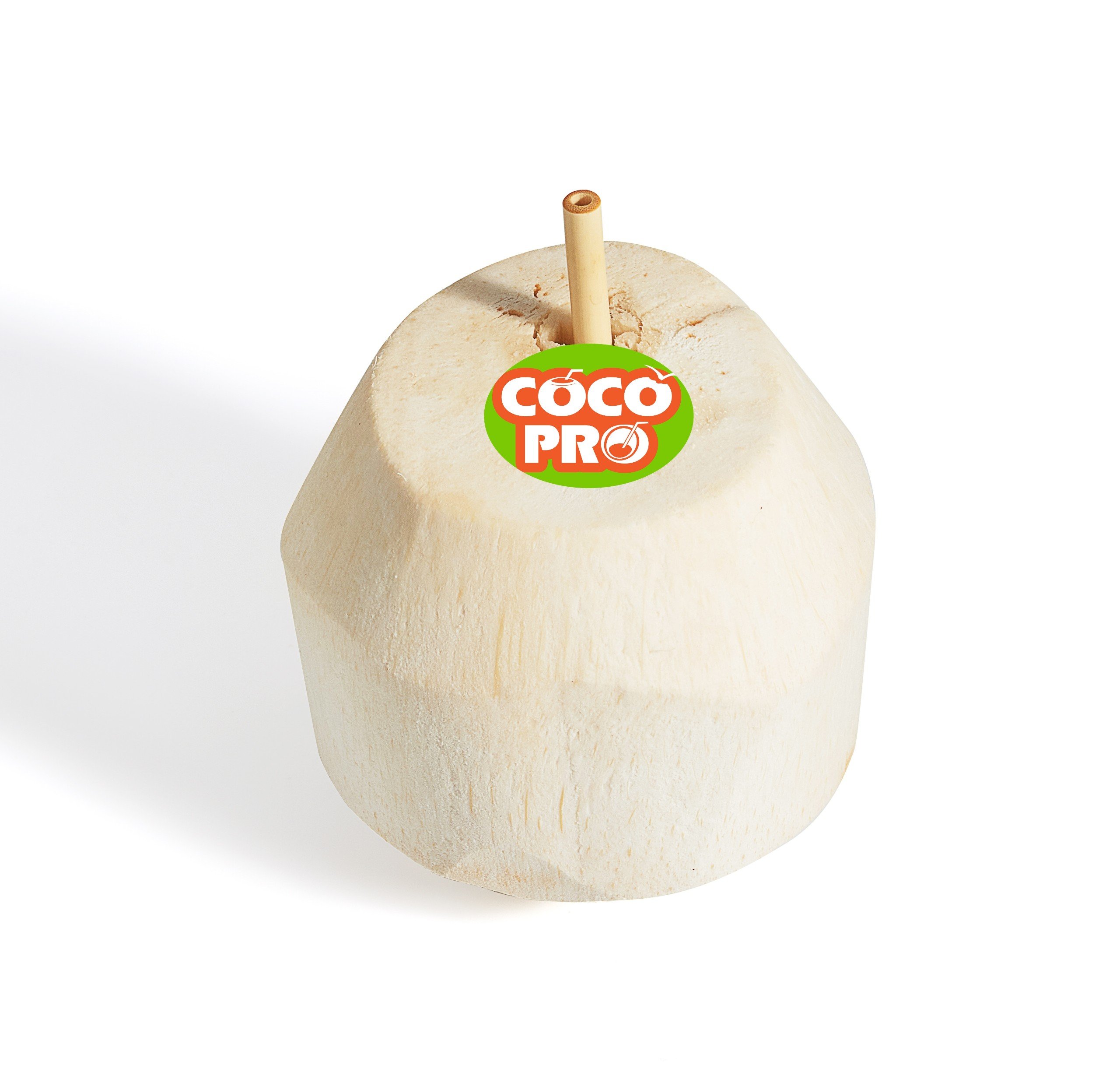 Coconut