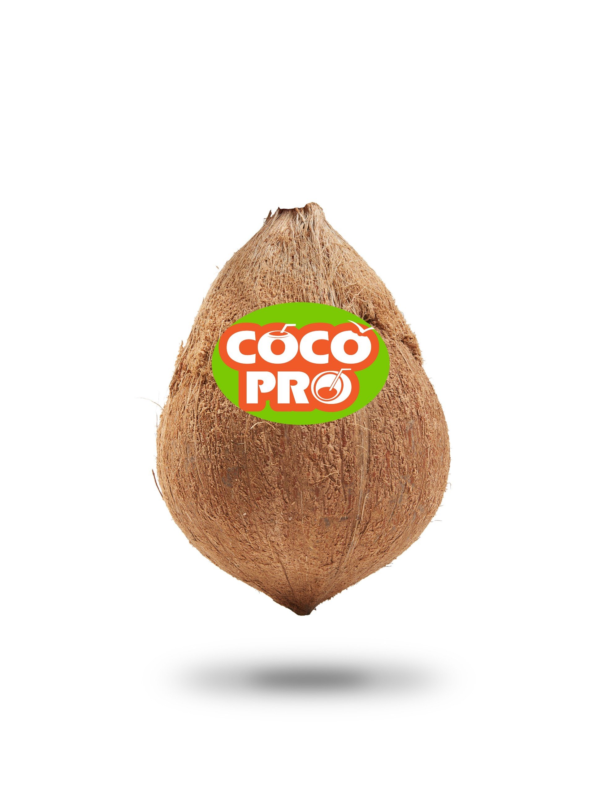 Coconut